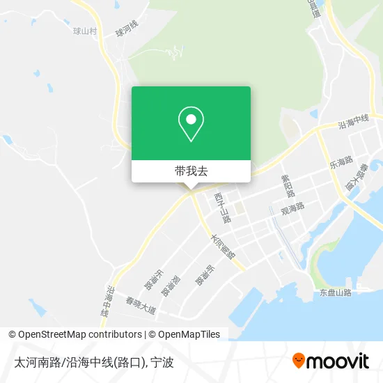 太河南路/沿海中线(路口)地图