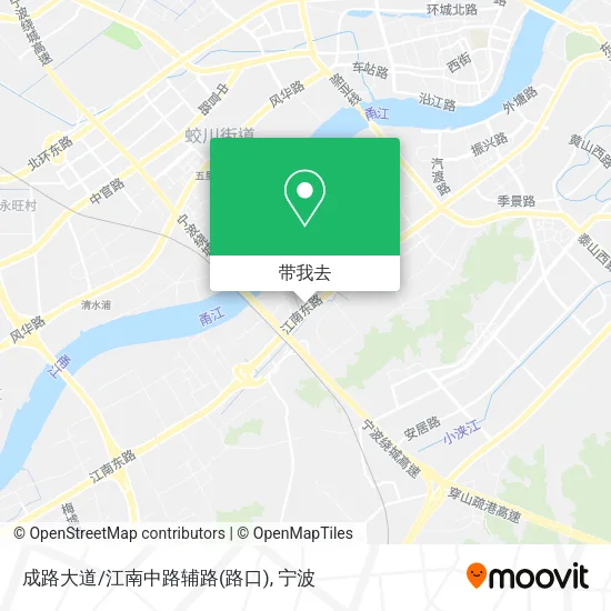 成路大道/江南中路辅路(路口)地图