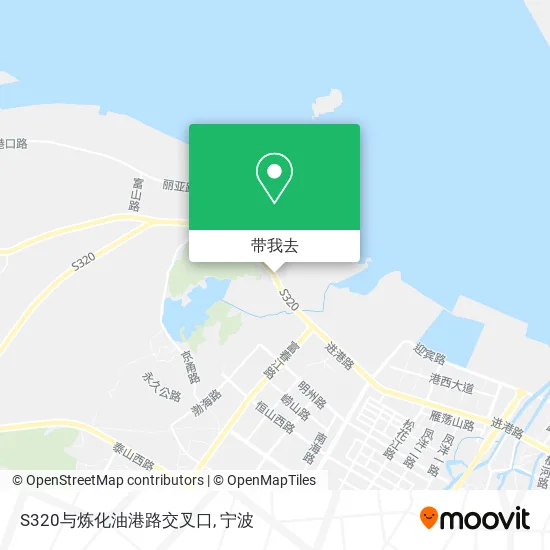 S320与炼化油港路交叉口地图