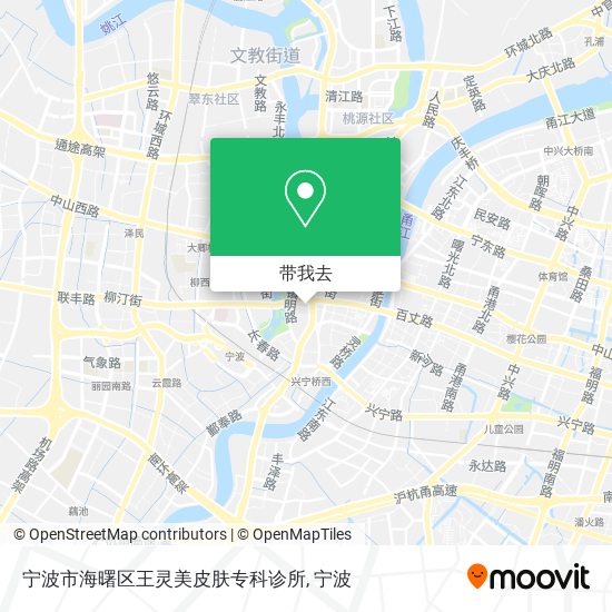 宁波市海曙区王灵美皮肤专科诊所地图