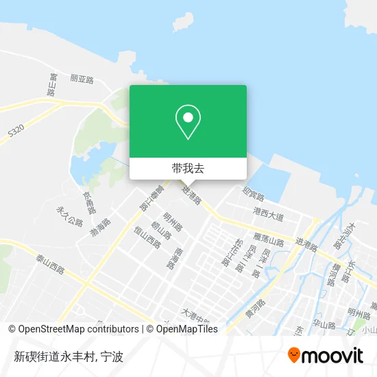 新碶街道永丰村地图