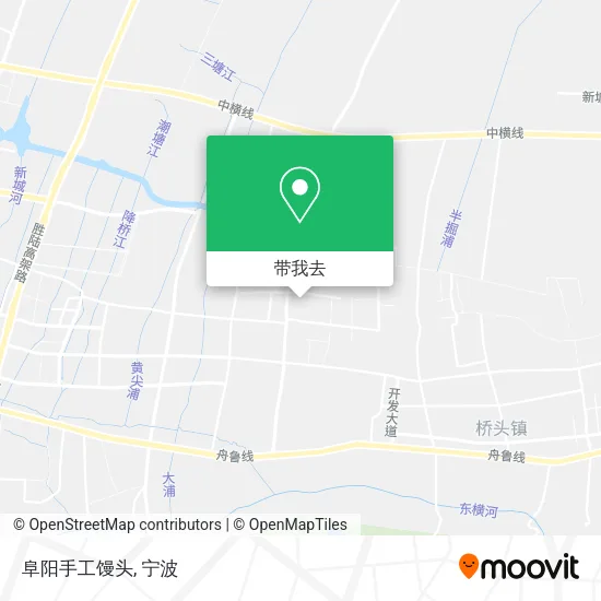 阜阳手工馒头地图