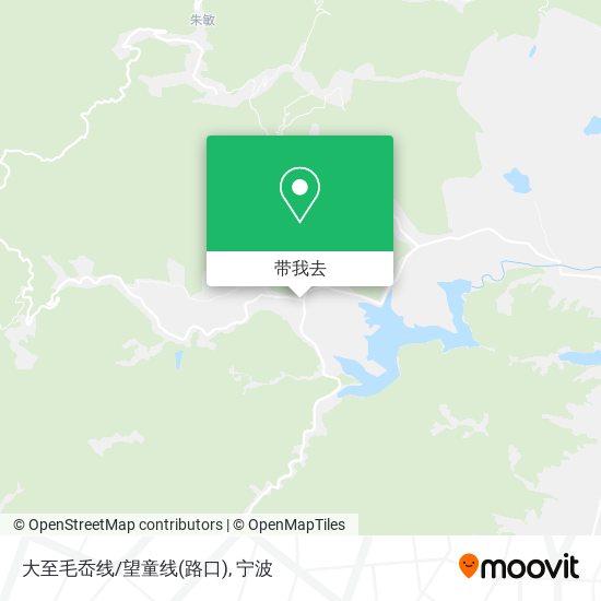 大至毛岙线/望童线(路口)地图
