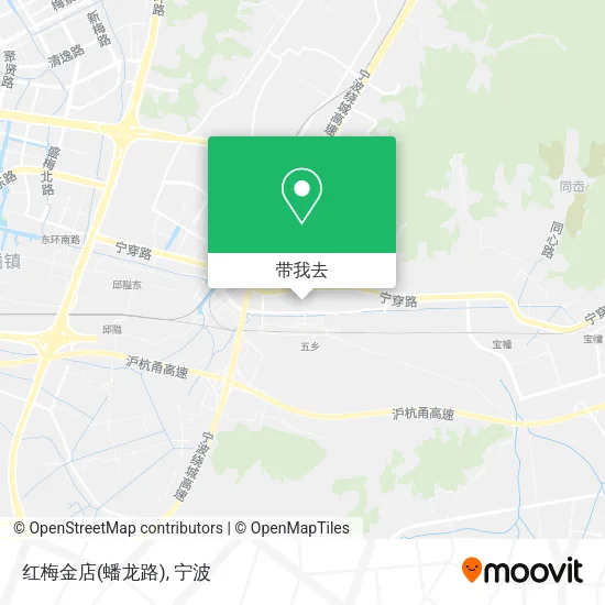 红梅金店(蟠龙路)地图