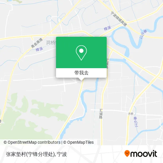 张家垫村(宁锋分理处)地图