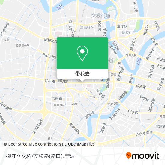 柳汀立交桥/苍松路(路口)地图