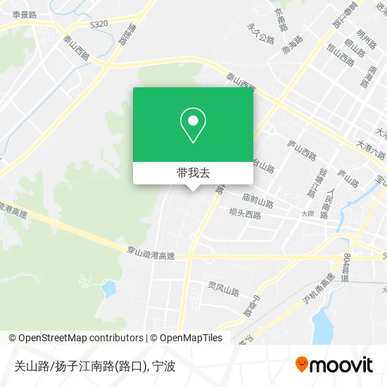 关山路/扬子江南路(路口)地图