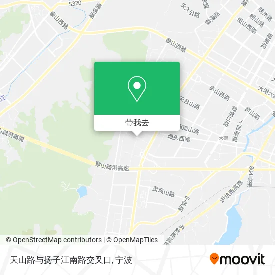天山路与扬子江南路交叉口地图