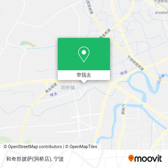 和奇胜披萨(洞桥店)地图