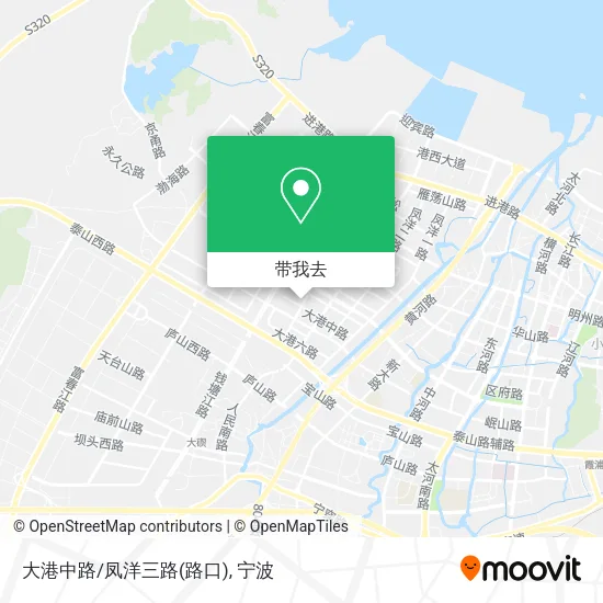 大港中路/凤洋三路(路口)地图