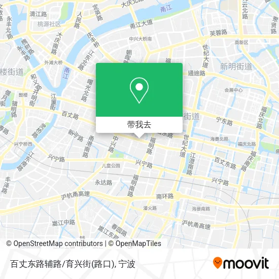 百丈东路辅路/育兴街(路口)地图