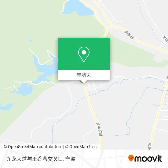 九龙大道与王岙巷交叉口地图