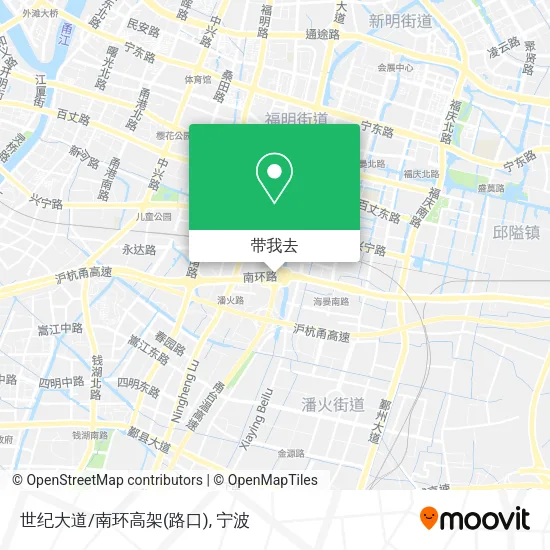 世纪大道/南环高架(路口)地图