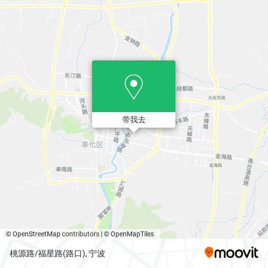 桃源路/福星路(路口)地图
