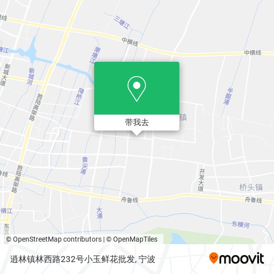 逍林镇林西路232号小玉鲜花批发地图