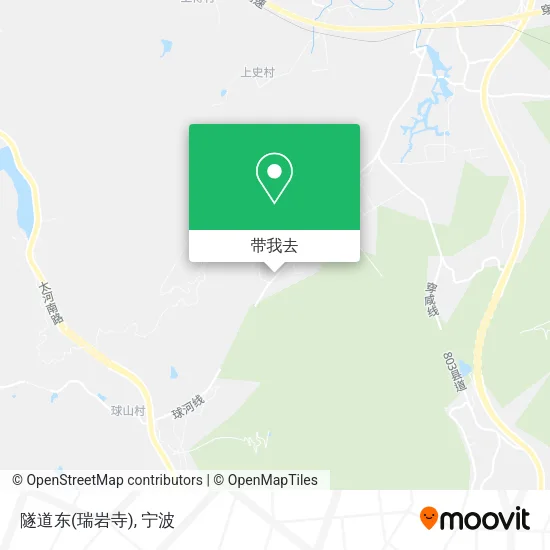 隧道东(瑞岩寺)地图