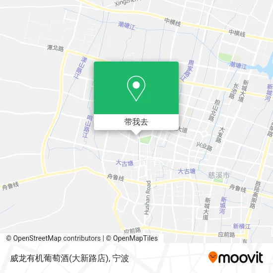 威龙有机葡萄酒(大新路店)地图