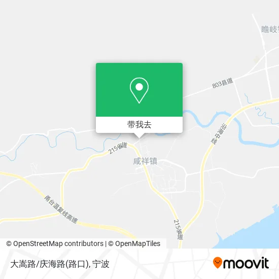 大嵩路/庆海路(路口)地图