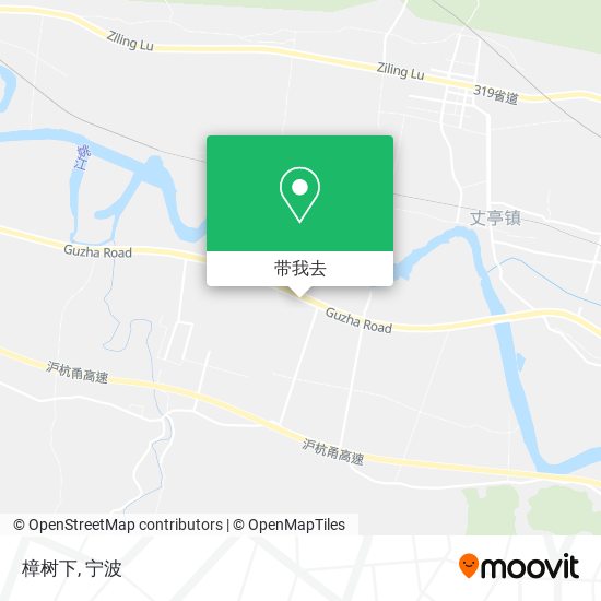 樟树下地图