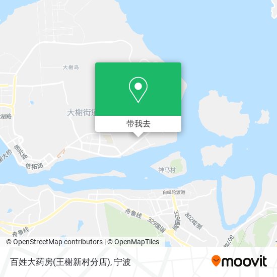 百姓大药房(王榭新村分店)地图