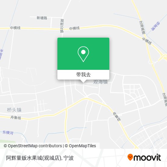 阿辉量贩水果城(观城店)地图