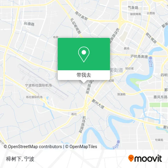 樟树下地图