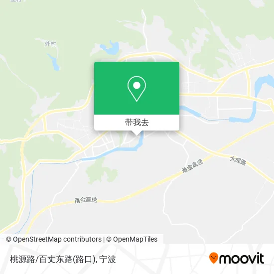 桃源路/百丈东路(路口)地图