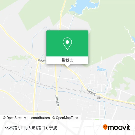 枫林路/江北大道(路口)地图