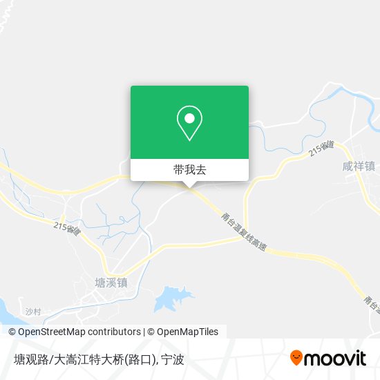 塘观路/大嵩江特大桥(路口)地图