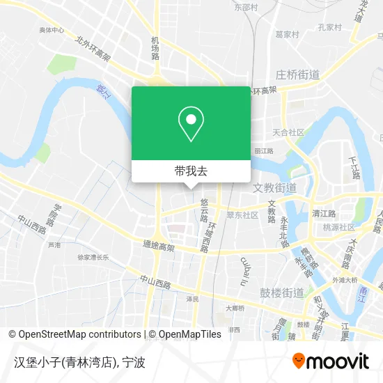 汉堡小子(青林湾店)地图