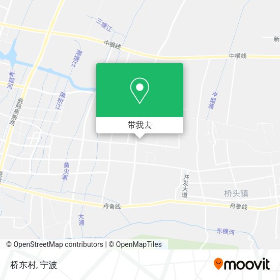 桥东村地图
