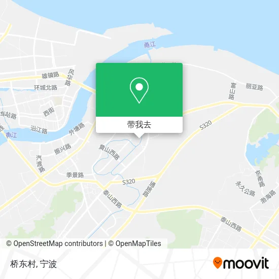 桥东村地图