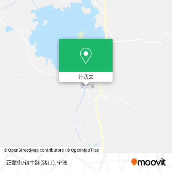 正蒙街/镇中路(路口)地图