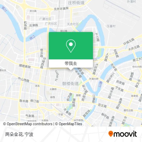 两朵金花地图