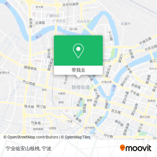 宁业临安山核桃地图
