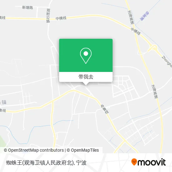 蜘蛛王(观海卫镇人民政府北)地图