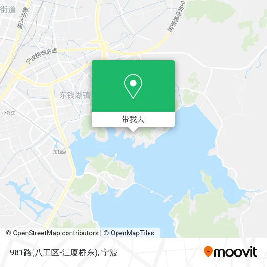 981路(八工区-江厦桥东)地图