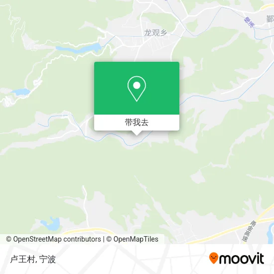 卢王村地图