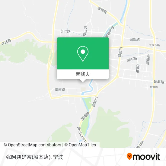 张阿姨奶茶(城基店)地图