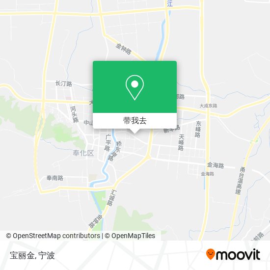 宝丽金地图