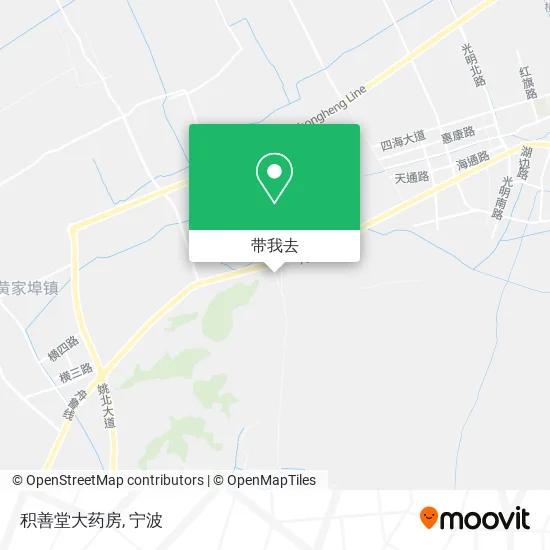 积善堂大药房地图