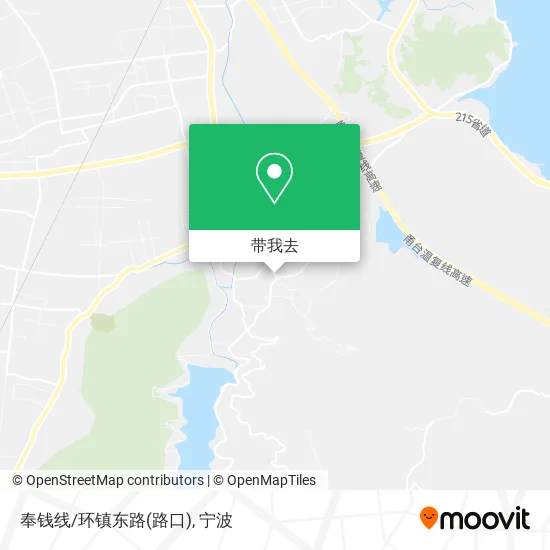 奉钱线/环镇东路(路口)地图