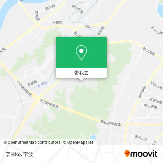 姜桐岙地图