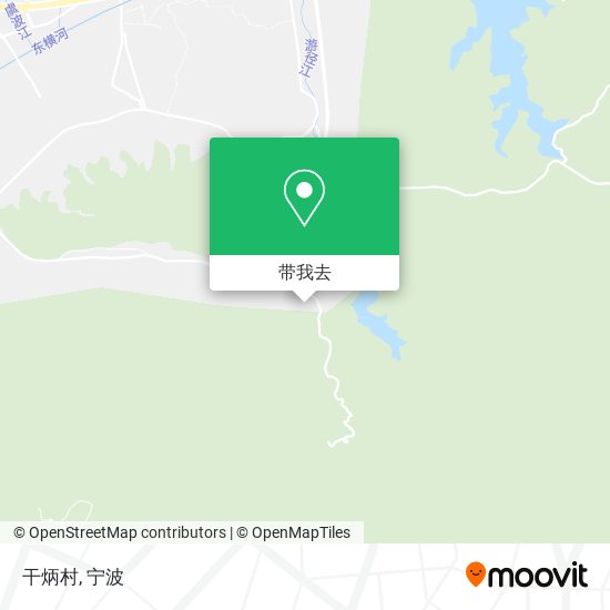 干炳村地图