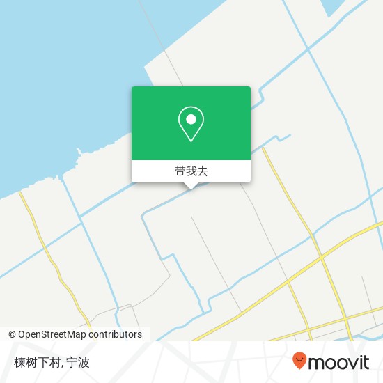 楝树下村地图