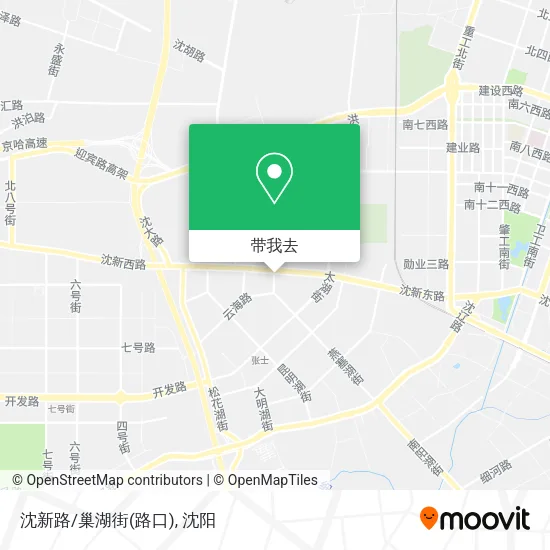 沈新路/巢湖街(路口)地图