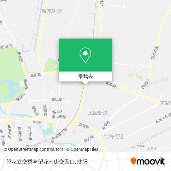 望花立交桥与望花南街交叉口地图