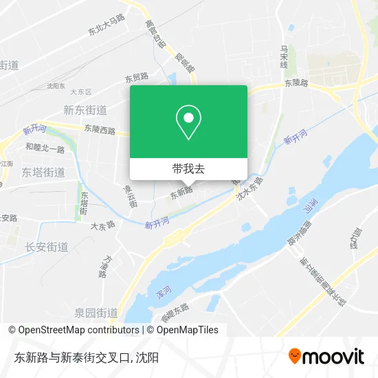 东新路与新泰街交叉口地图