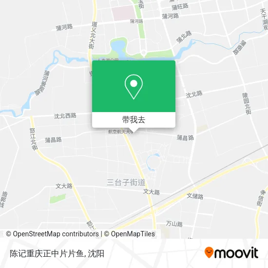 陈记重庆正中片片鱼地图
