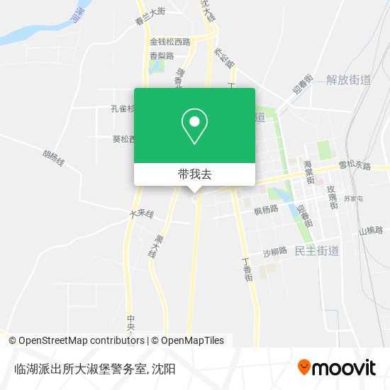 临湖派出所大淑堡警务室地图